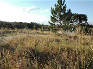 1021 m² Land available in Margate