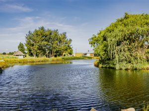 1.6 ha Farm in Amersfoort
