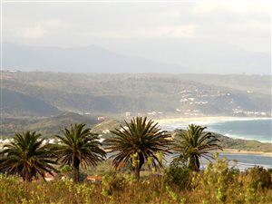 786 m² Land available in Plettenberg Bay