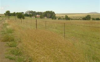 538.5 ha Farm in Zastron