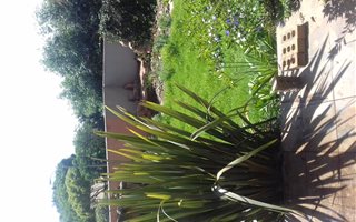 1 Bedroom Garden Cottage in Bonaero Park