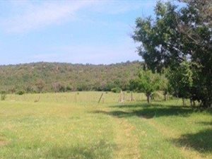 129 ha Farm in Modimole (Nylstroom)
