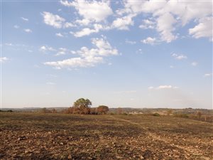 5.1 ha Farm in Rietfontein