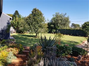 3 Bed House in Berario