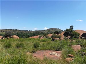 77.6 ha Farm in Dullstroom