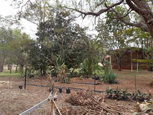 8.5 ha Farm in Bela-Bela (Warmbaths)