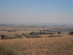 1.5 ha Land available in Doornrandje