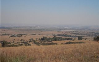 1.5 ha Land available in Doornrandje