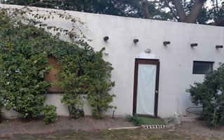 1 Bedroom Garden Cottage in Boston