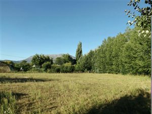 1571 m² Land available in Prince Alfred Hamlet