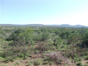 767 ha Land available in Somerset East