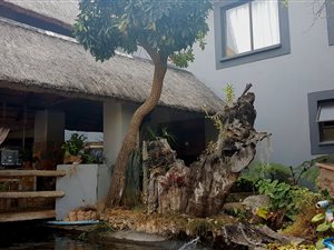1 ha Farm in Nelspruit