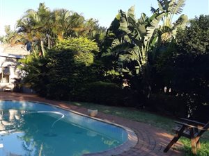 1 Bedroom Flat in Park Hill