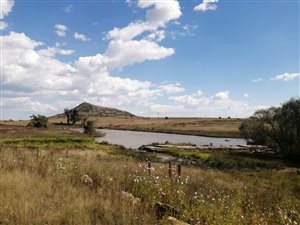 190 ha Farm in Bethlehem
