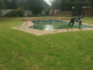 9304 m² Farm in Rand Collieries