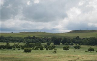 1 ha Land available in Machadodorp