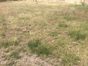 858 m² Land available in Savannah Country Estate