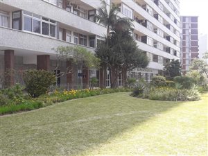 1 Bed Flat in Morningside