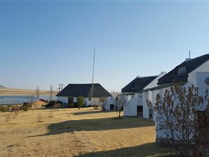 378 ha Farm in Ladybrand