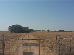 856 ha Farm in Kuruman