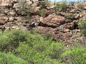 748 m² Land available in Wilkoppies