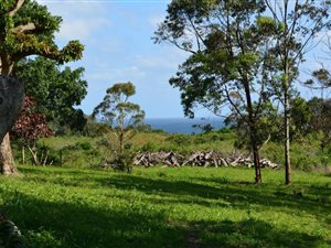 16 ha Farm in Marburg