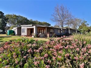 4.5 ha Farm in Merrivale