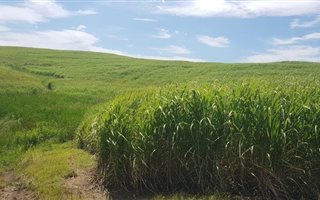 51.5 ha Farmland in Port Shepstone