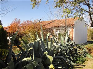 4.3 ha Farm in Mimosa Park
