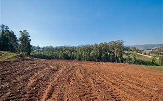 1.2 ha Land available in Spanish Farm