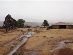 428 ha Farm in Aliwal North