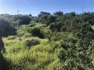 879 m² Land available in Dana Bay