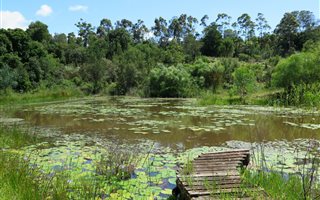 11.2 ha Farm in Plettenberg Bay