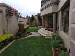 5 Bed House in Morninghill