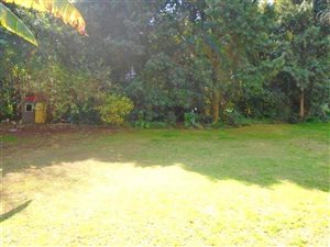3000 m² Land available in Birdhaven