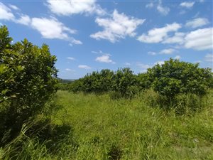 10 ha Farm in Empangeni