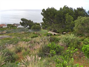 466 m² Land available in Murdock Valley
