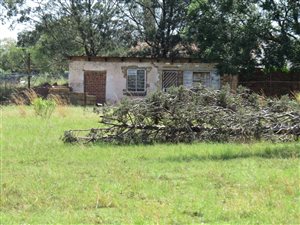 2 ha Farm in Homestead Apple Orchards