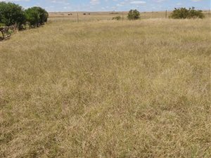 868 m² Land available in Riviersonderend
