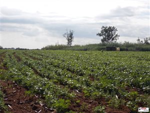 24.5 ha Farm in Waterval