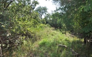 1732 m² Land available in Kampersrus AH