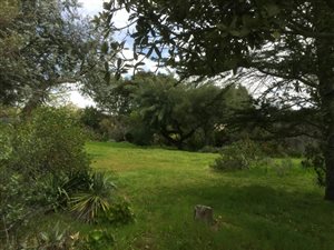 1000 m² Land available in Sonstraal