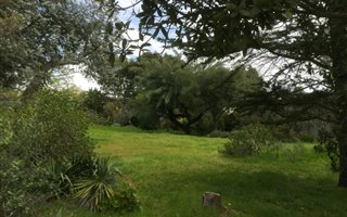 1000 m² Land available in Sonstraal