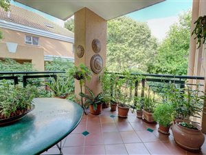 2 Bed Apartment in Riviera