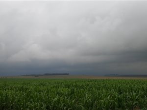 465 ha Farm in Senekal