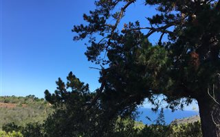 24 ha Land available in Victoria Bay