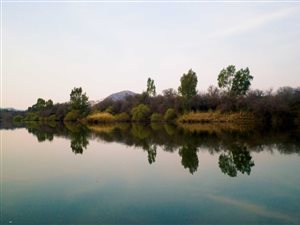 40 ha Farm in Parys