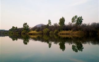 40 ha Farm in Parys