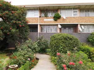 1 Bed Apartment in Springs Central