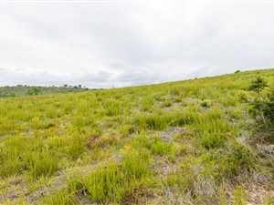 1500 m² Land available in Brackenridge